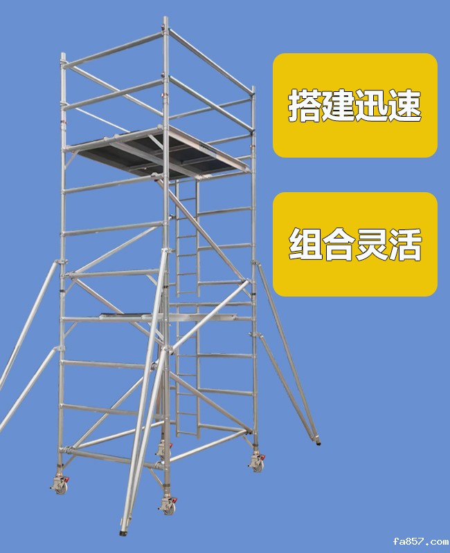 双宽度垂直爬梯式